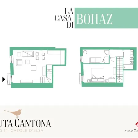 Tenuta Cantona * Casole dʼElsa